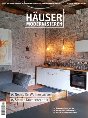 HÄUSER MODERNISIEREN / August 2020
